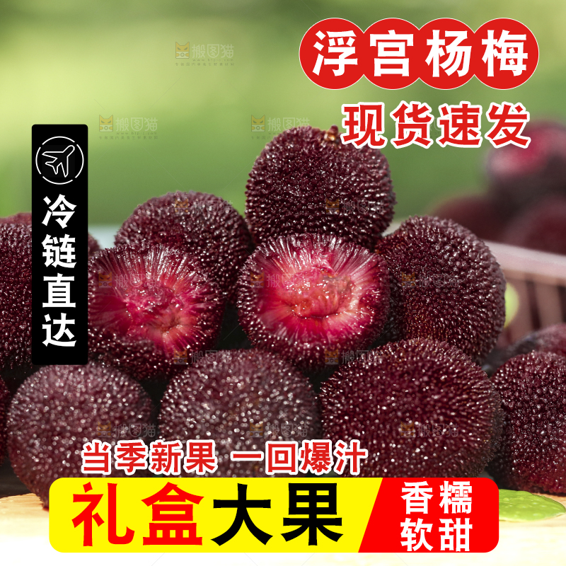 木底上摆放着圣生梅