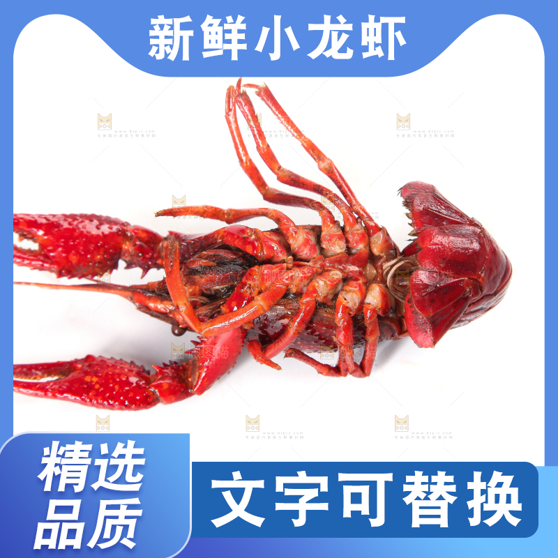 白底上放着龙虾