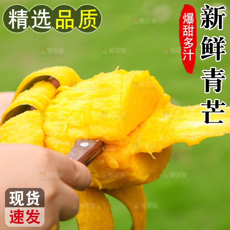 手里拿着青芒果