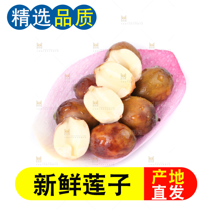 荷花上摆放着莲子
