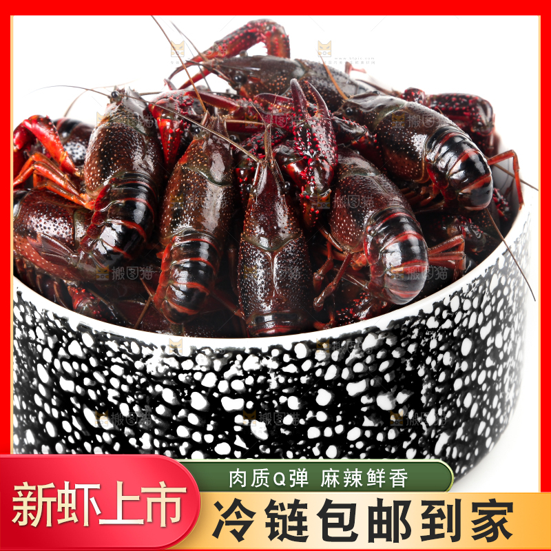 盆子里装着潜江小龙虾