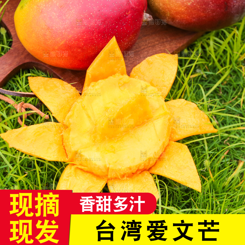 草地上摆放着爱文芒