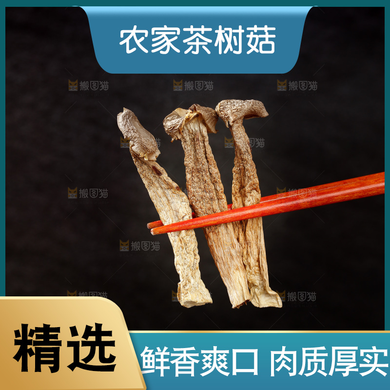 筷子夹着干茶树菇