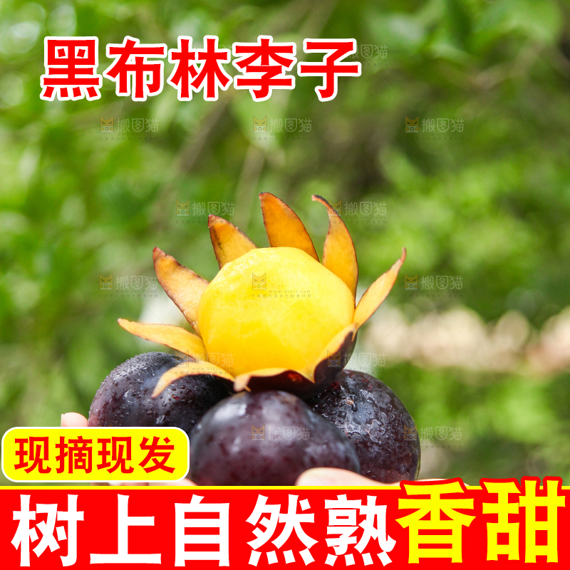 手里拿着黑布李