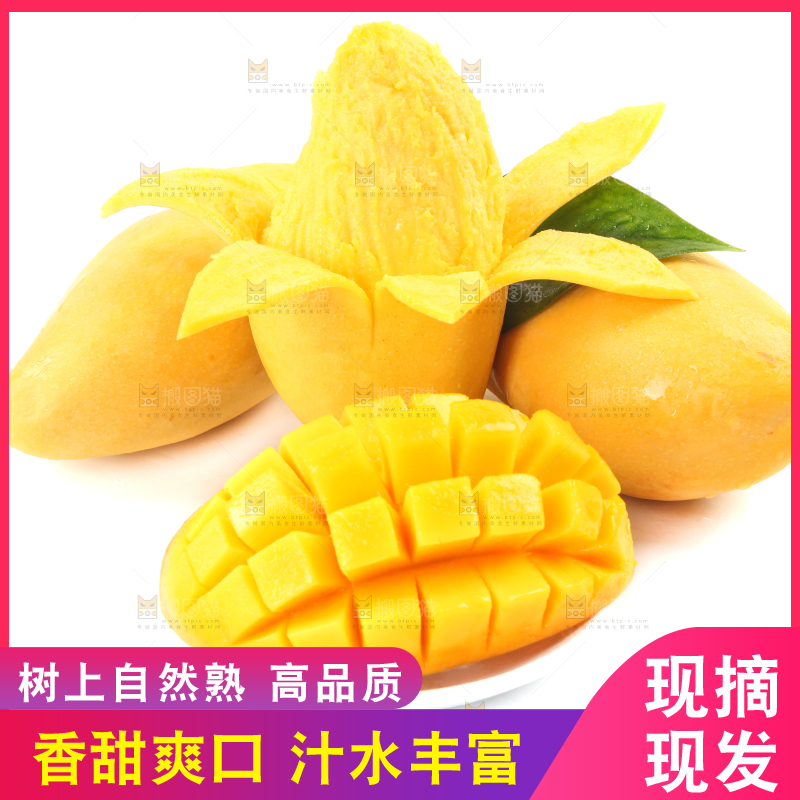 白底上放着象牙芒