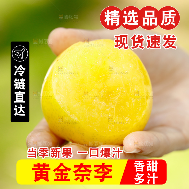 手里拿着九峰山黄金奈李