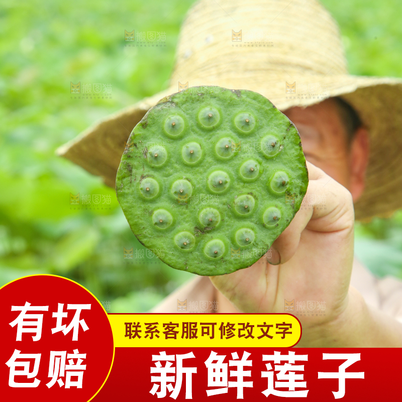 手里拿着莲蓬