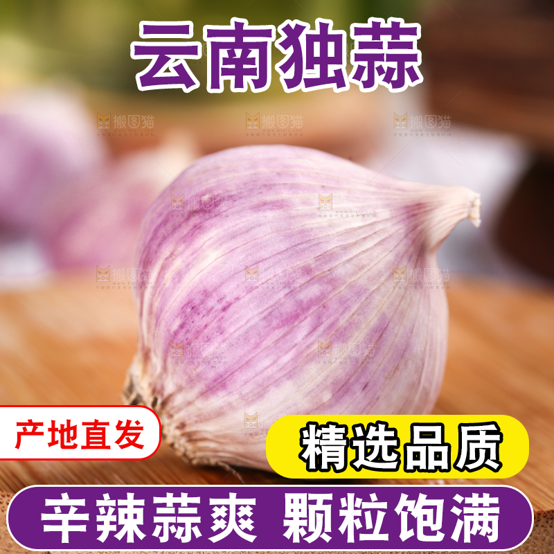 木底上摆放着紫皮独蒜