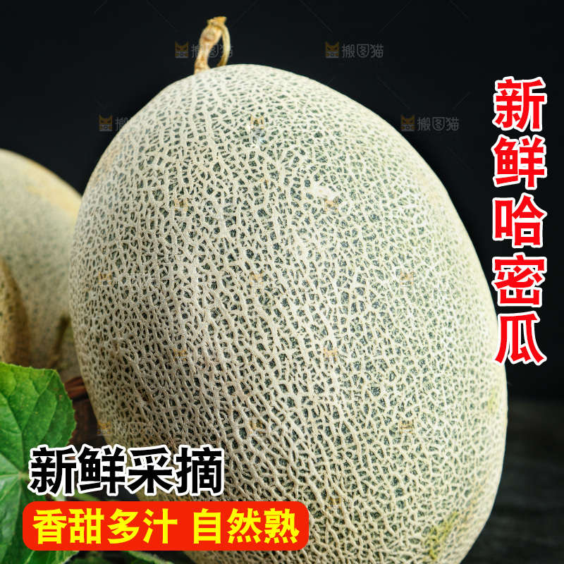 黑底上摆放着网纹瓜