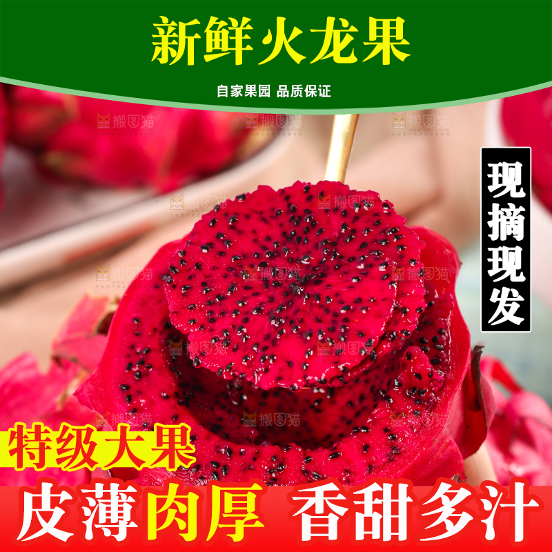 手里拿着红心火龙果