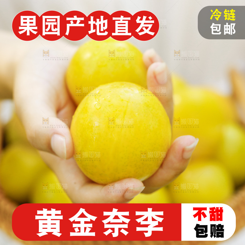 手里拿着新鲜黄金奈李