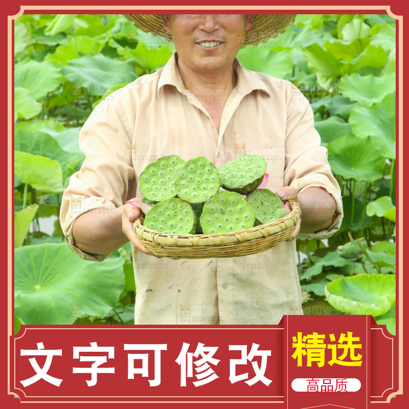 手里端着一篮新鲜莲蓬