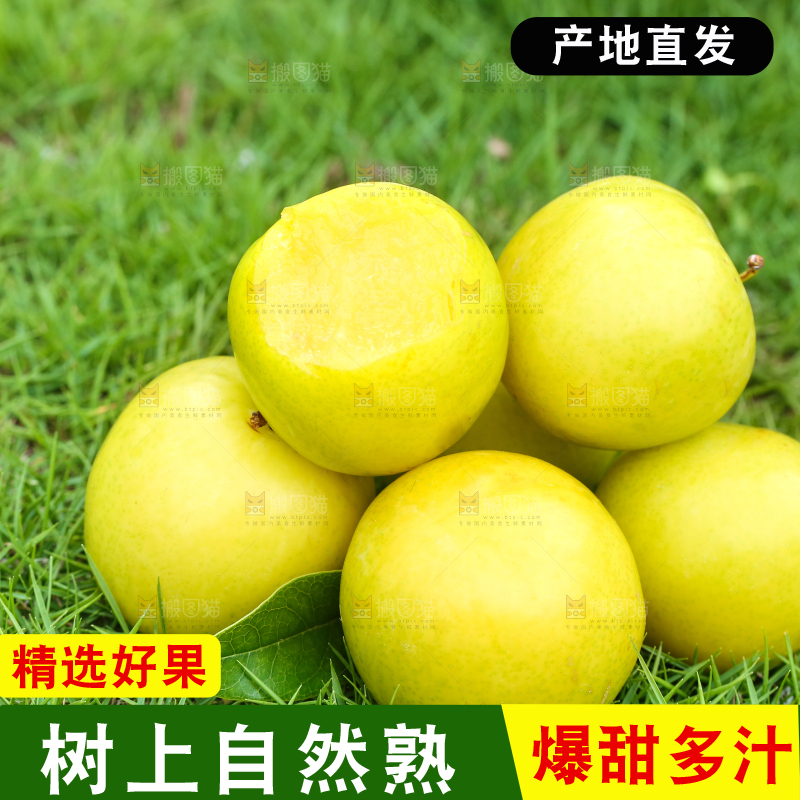 草地上摆放着黄金奈李