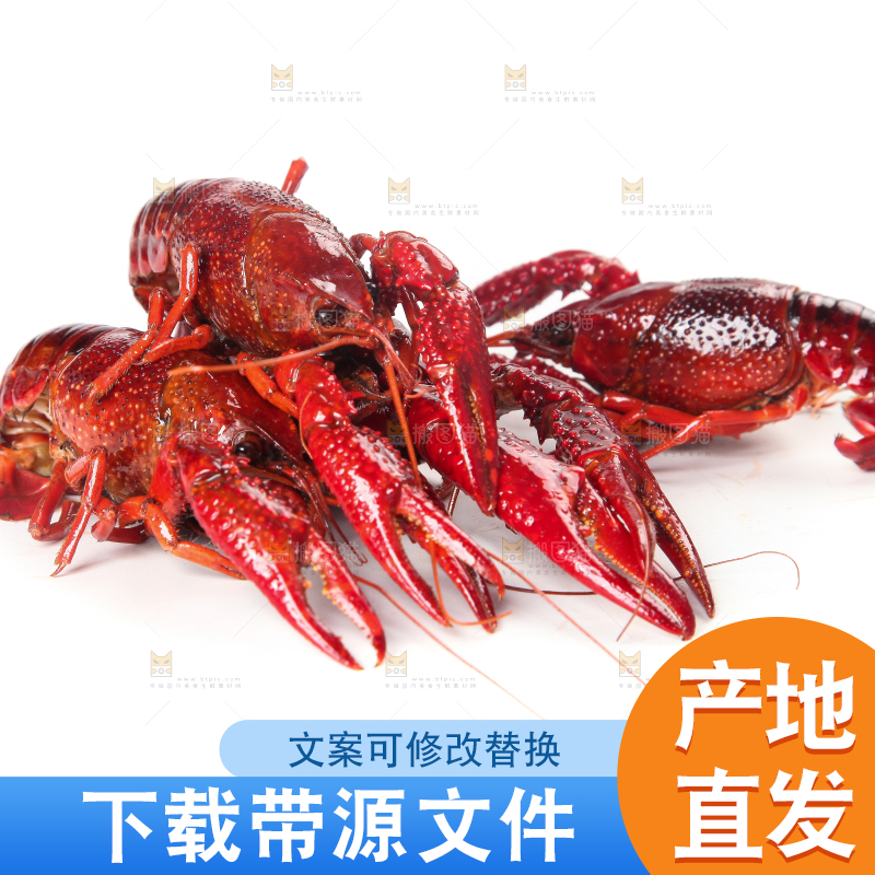 白底上摆放着小龙虾