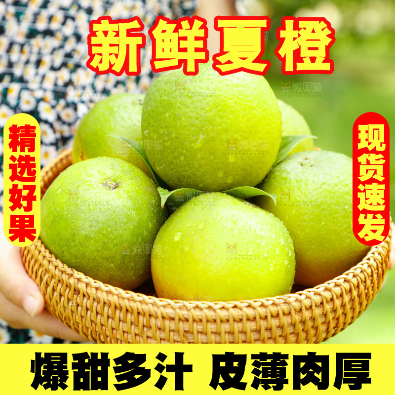 手里拿着一篮秭归夏橙