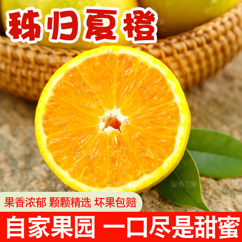 浅底上摆放着橙子