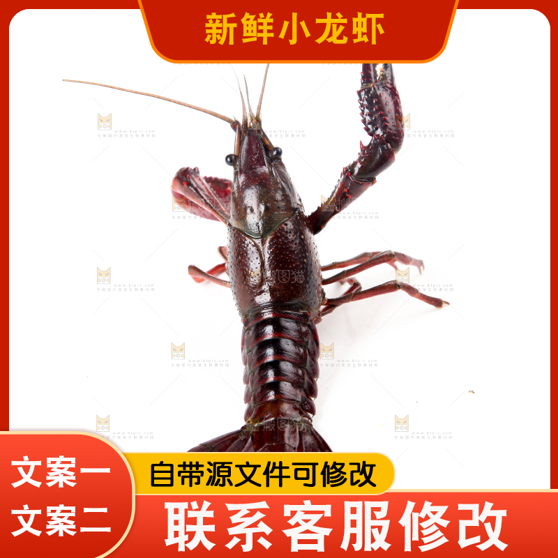 白底上摆放着淡水河虾