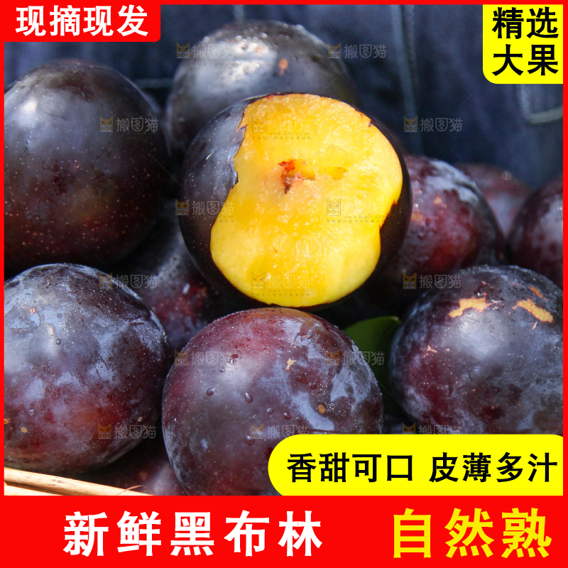 手里端着一篮新鲜黑布李