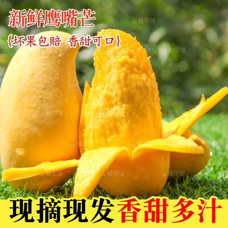 绿草地上摆放着鹰嘴芒果