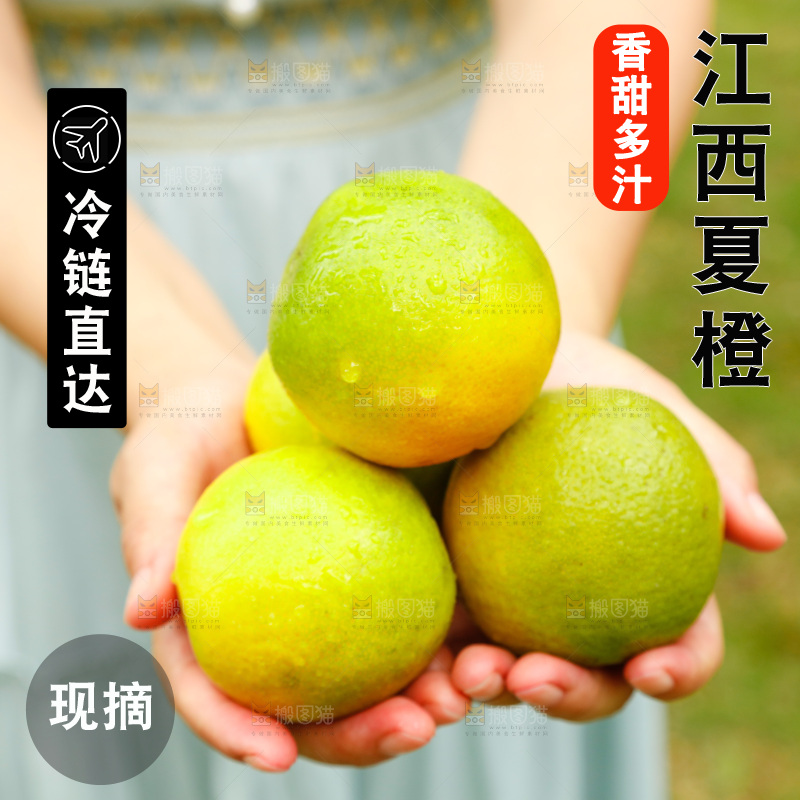 手里拿着广西桂林夏橙