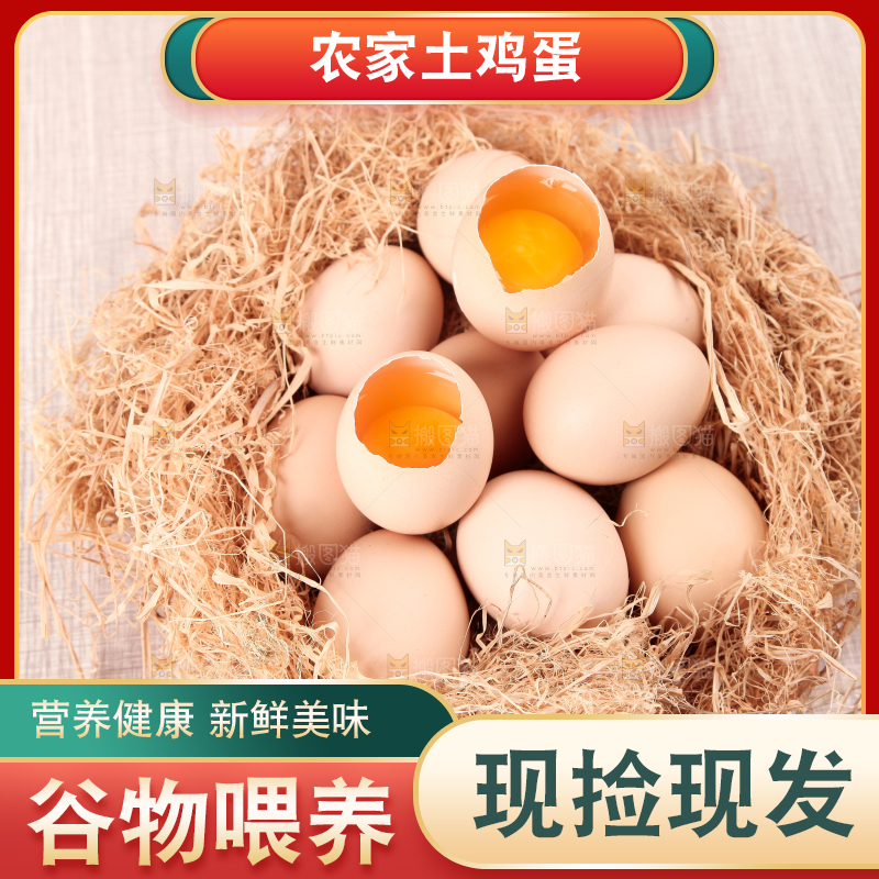 草堆上摆放着生鸡蛋