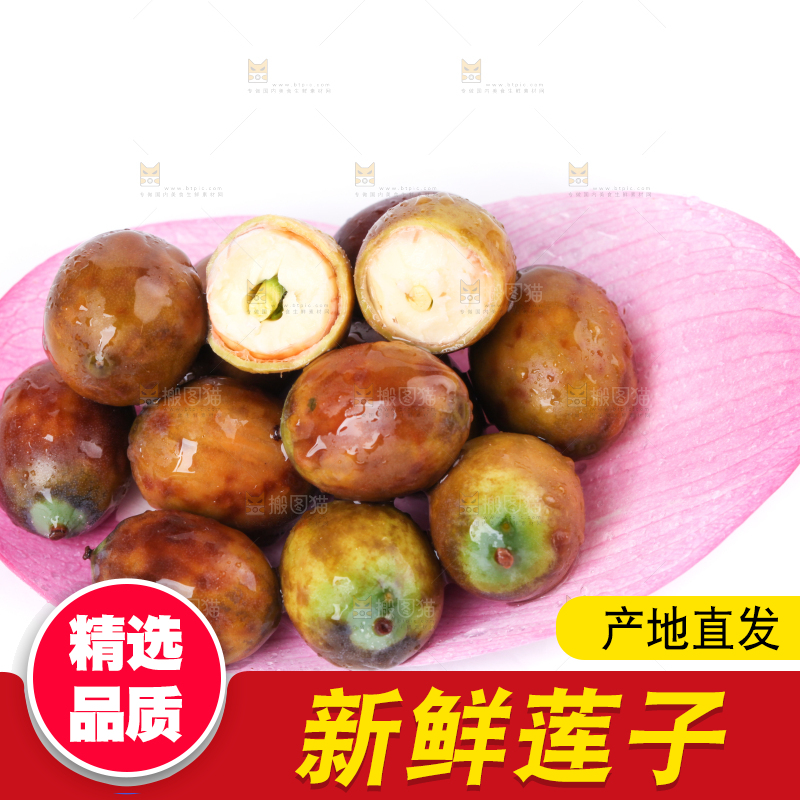 荷花上摆放着莲子
