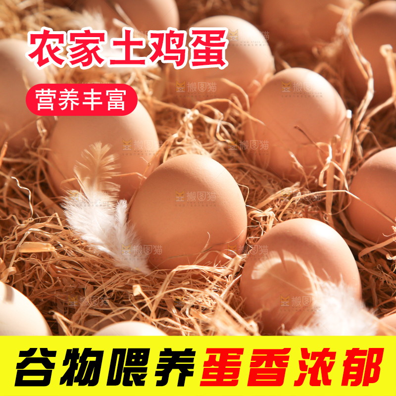 草堆里摆放着生鸡蛋