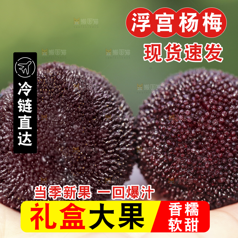 手上拿着新鲜杨梅