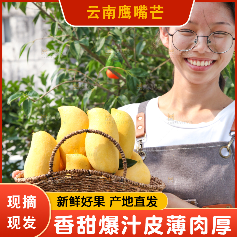 手里提着一篮云南鹰嘴芒