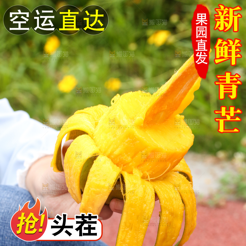 手里拿着剥皮的大青芒