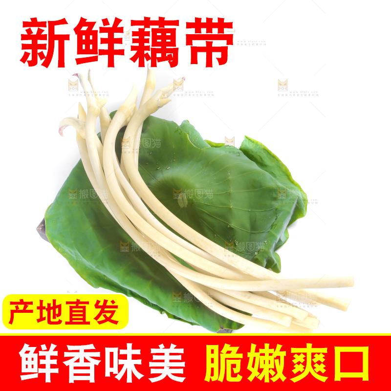 荷叶上放着新鲜藕带