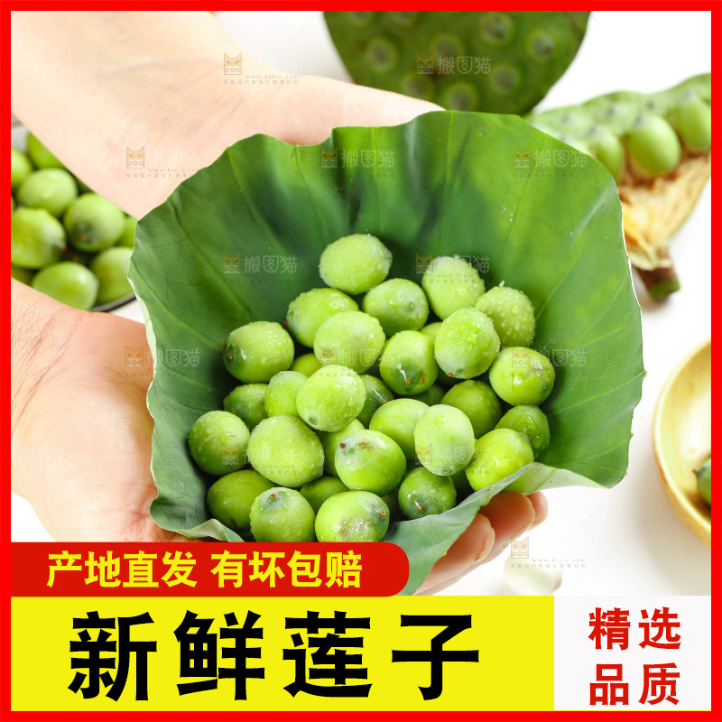 手里捧着新鲜莲子
