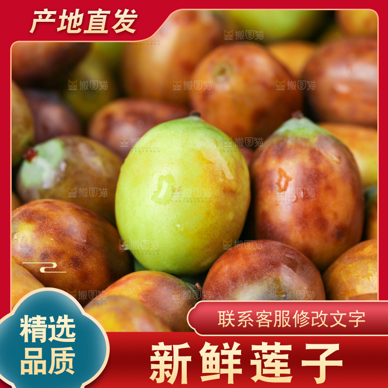 荷叶上摆放着莲蓬子