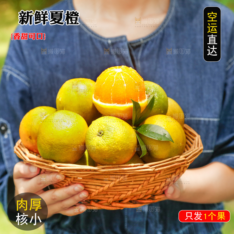 手里端着一篮秭归夏橙