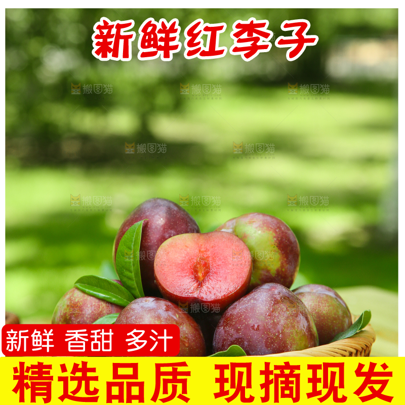 篮子里装着红心李子