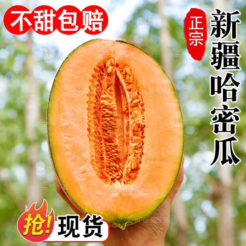 哈密瓜主图