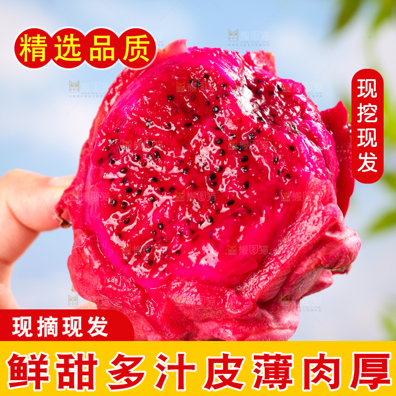 手里拿着红心火龙果