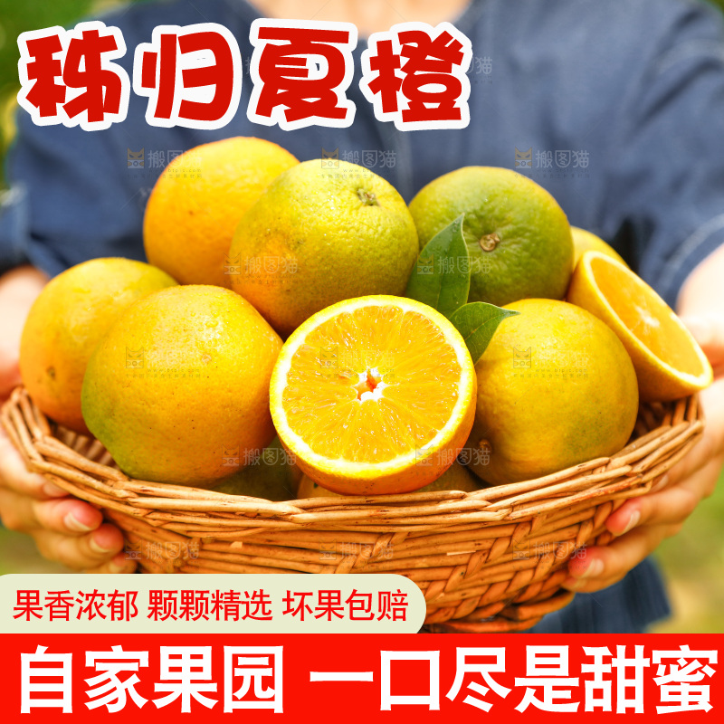 手里端着一篮秭归夏橙