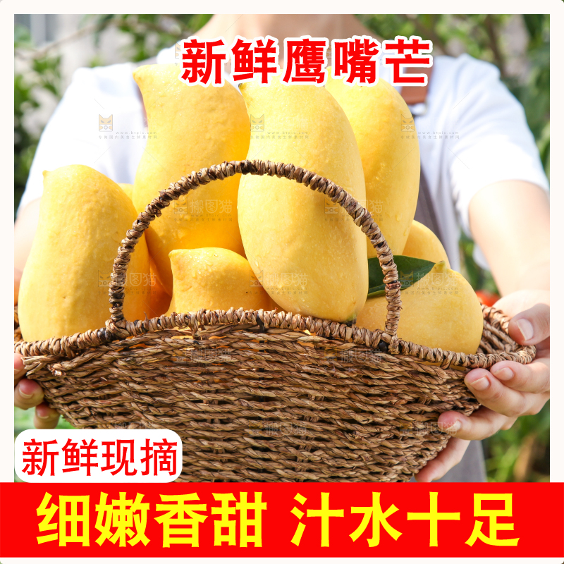 手里提着一篮云南鹰嘴芒