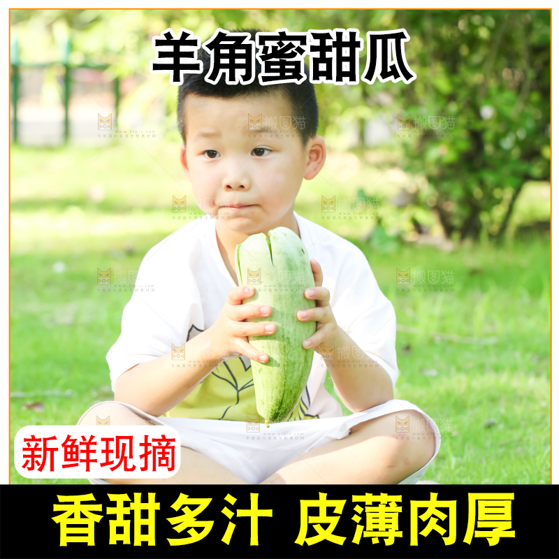 小男孩正在吃羊角蜜