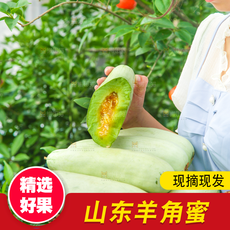 手里端着一篮山东羊角蜜甜瓜