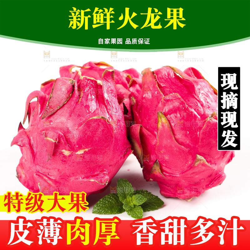 浅底上摆放着红心火龙果
