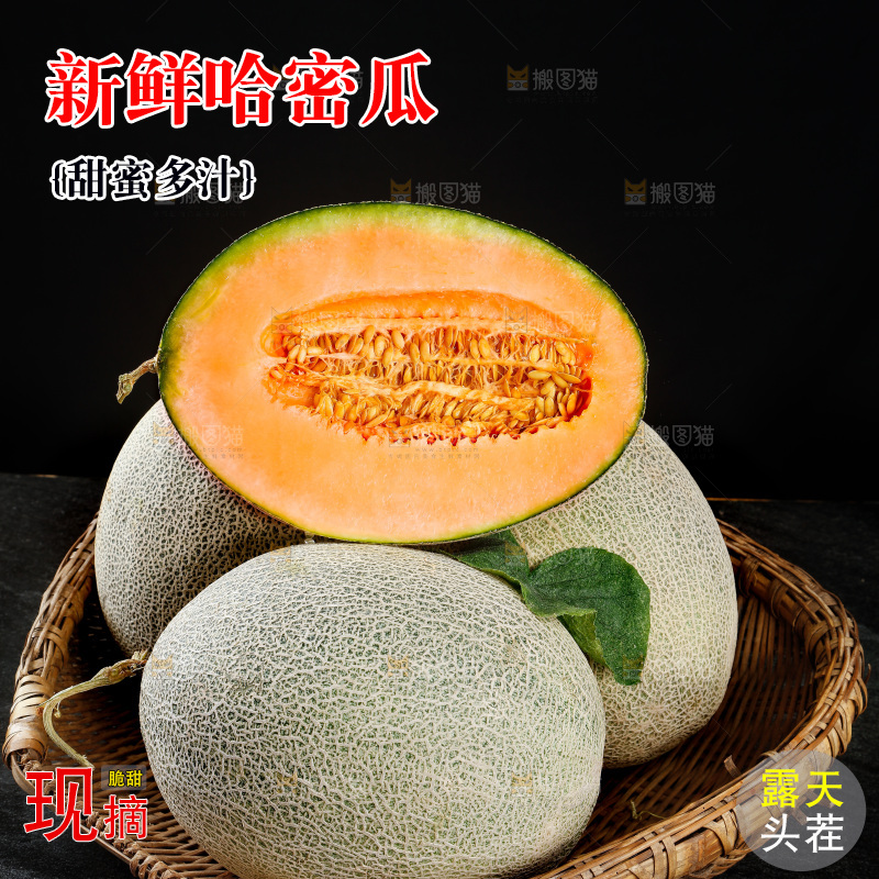 哈密瓜主图