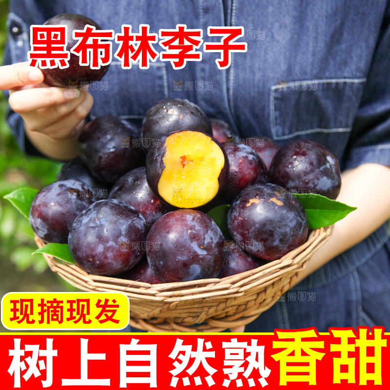 手里端着一篮新鲜黑布李