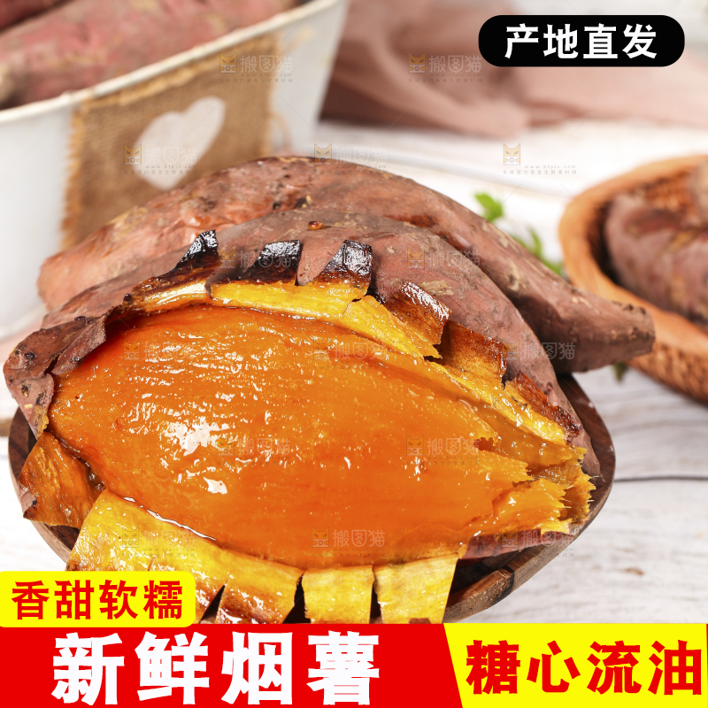 木底上摆放着烟薯25号