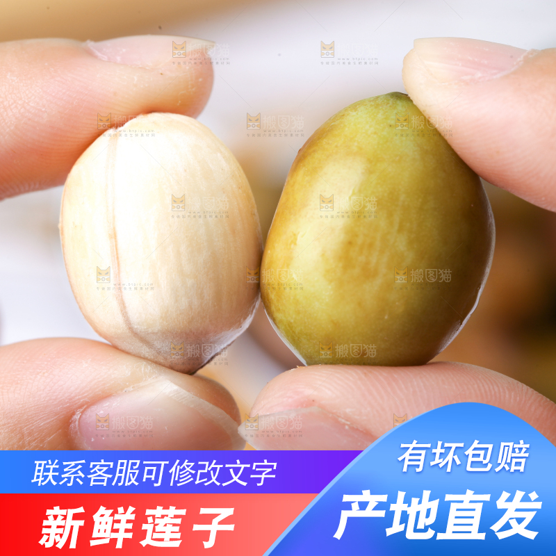 手里拿着莲子米