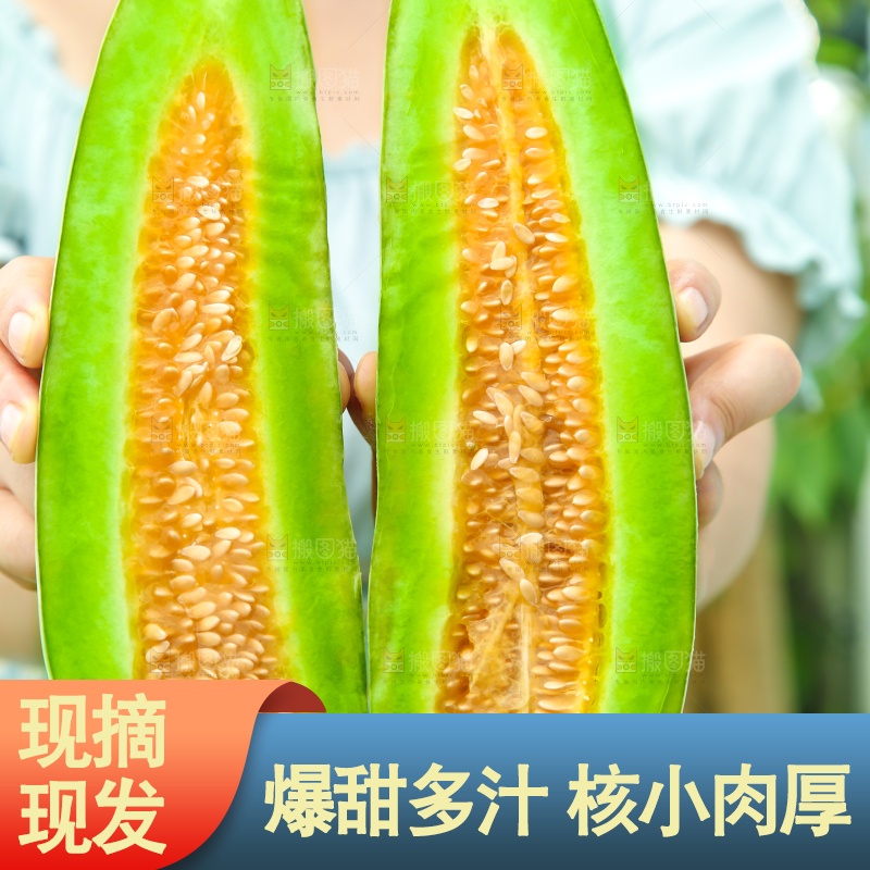 手里拿着脆甜蜜瓜