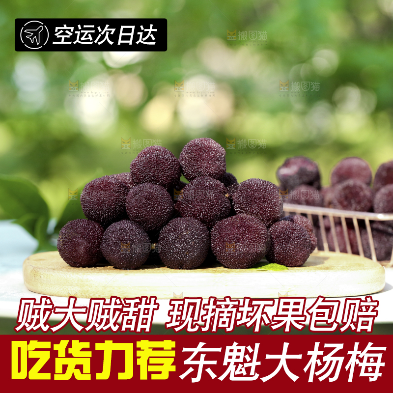 桌子上放着新鲜杨梅