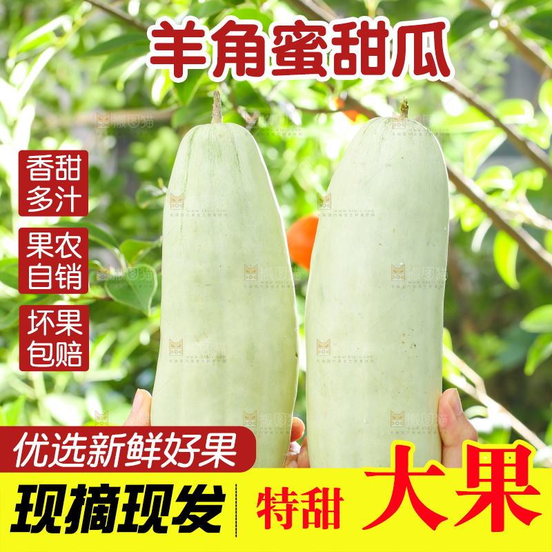 手里拿着羊角蜜