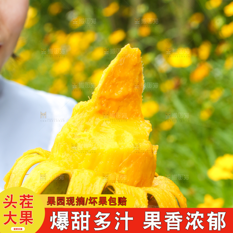 手里拿着剥皮的大青芒